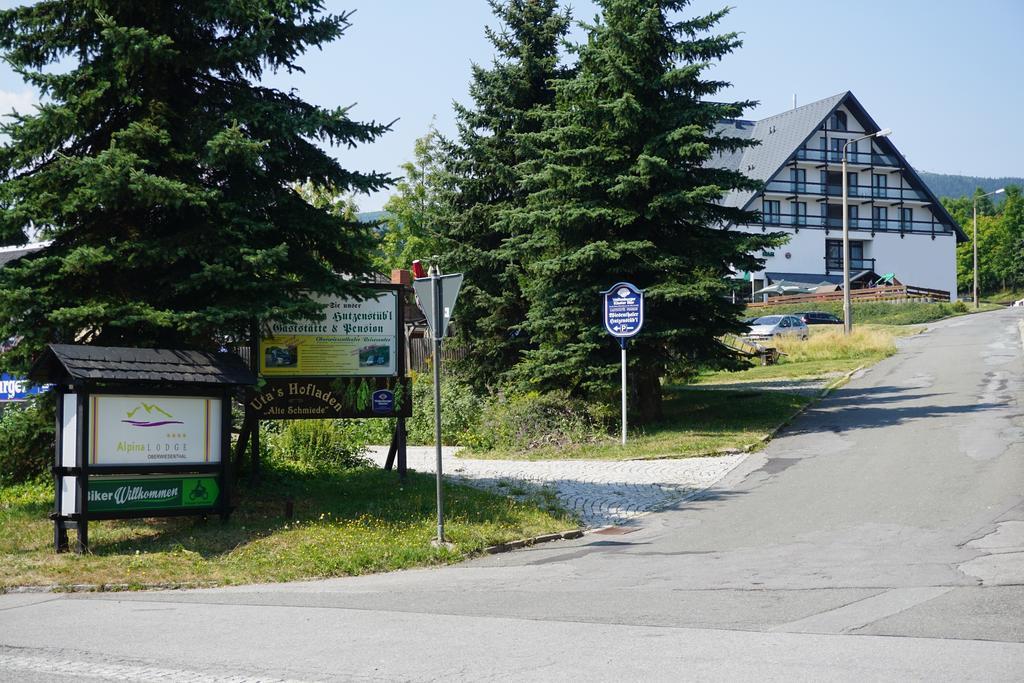 Alpina Lodge Hotel Oberwiesenthal Luaran gambar