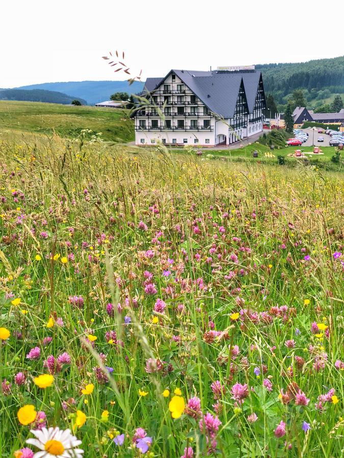 Alpina Lodge Hotel Oberwiesenthal Luaran gambar
